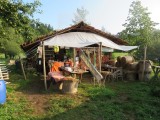 Workcampy s Tamjdemem - na farmě ve Valči